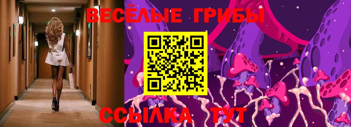 Галлюциногенные грибы мухоморы  Галлюциногенные грибы мицелий  Курган  Вход с VPN 