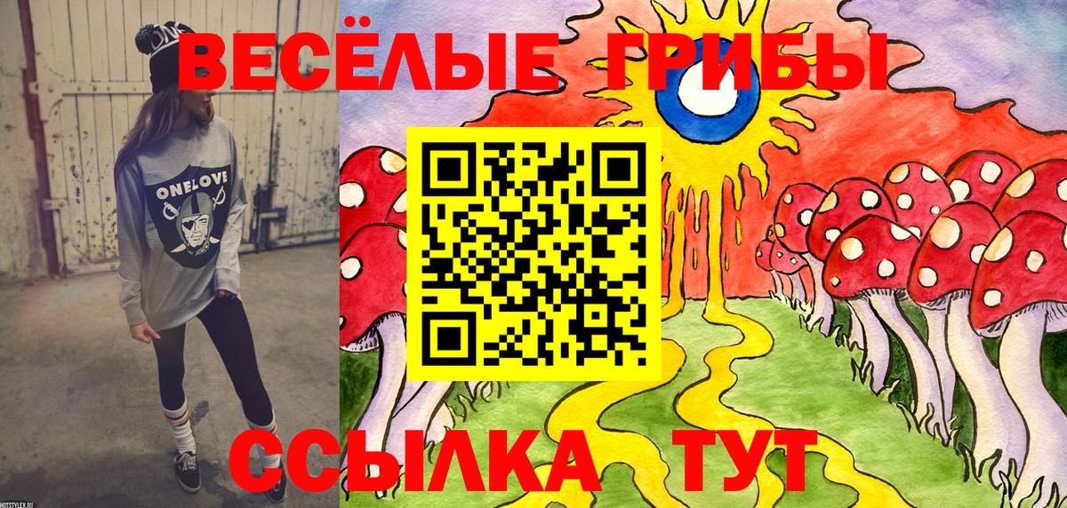 Псилоцибиновые грибы мухоморы Курган